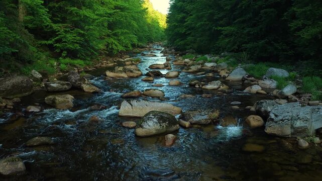 Beautiful Sunrise In Sunny Spring Forest with Mountain River . Sunlight Sunbeams Through Woods In Forest Landscape with Authentic Nature Sound