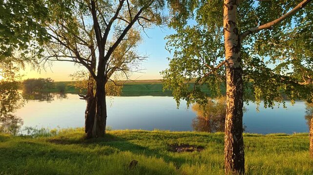 Birch trees and green grass frame a calm river reflecting the golden light of a summer sunset