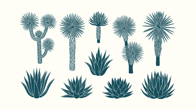 Collection of Desert Flora Silhouettes Including Joshua Tree Agave and Yucca Plants Vector Graphics