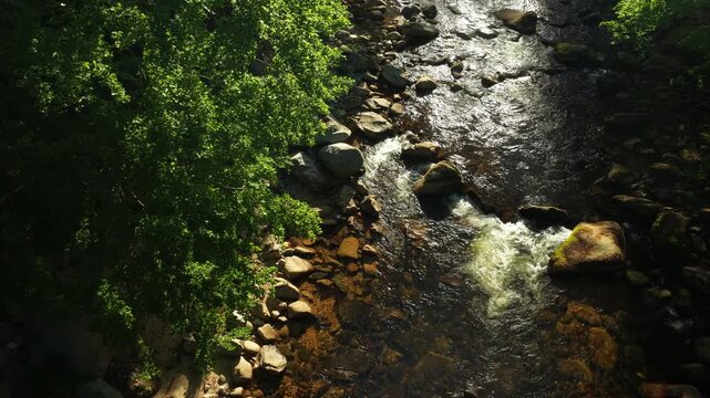 Beautiful Sunrise In Sunny Spring Forest with Mountain River . Sunlight Sunbeams Through Woods In Forest Landscape with Authentic Nature Sound