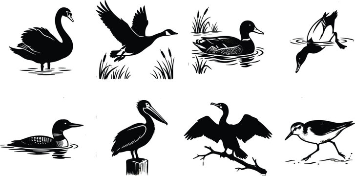 A collection of waterfowl and shorebird linocut vector illustrations featuring swans, ducks, geese, pelicans, and cormorants in monochrome style