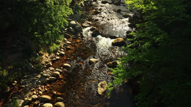 Beautiful Sunrise In Sunny Spring Forest with Mountain River . Sunlight Sunbeams Through Woods In Forest Landscape with Authentic Nature Sound