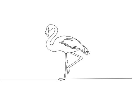 Flamingo continuous line. Continuous one line drawing of flamingo. Flamingo bird concept. Single line drawing