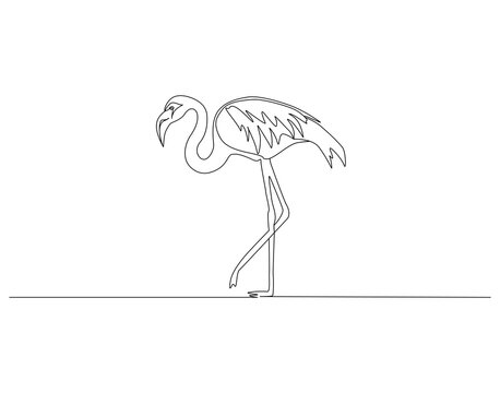 Flamingo continuous line. Continuous one line drawing of flamingo. Flamingo bird concept. Single line drawing