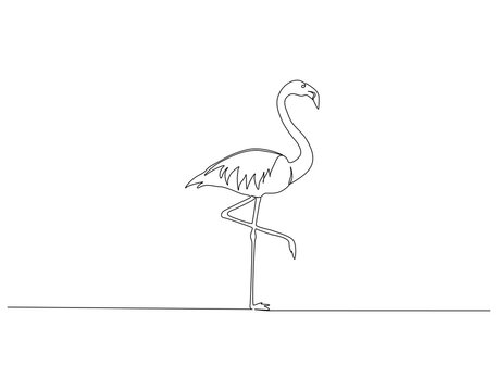 Flamingo continuous line. Continuous one line drawing of flamingo. Flamingo bird concept. Single line drawing