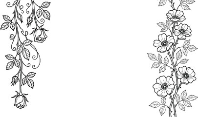 Fototapeta premium Elegant black and white line art floral border vector illustration background with climbing roses and blank copy space