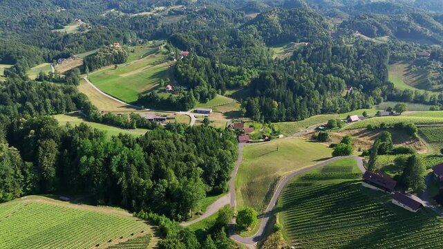 endless rows of lush green vineyards in Styria, Austria, casting golden hues on terraced slopes and distant Alps, timeless wine heritage, serene valleys bathed in warm light, perfect travel