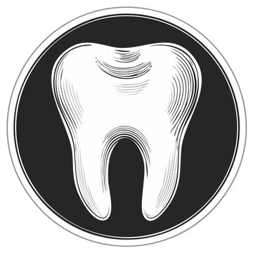 Clean white molar tooth graphic illustration in a circular emblem with engraved line art detail