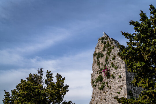 Ancient Stone Ruin with Trees and Sky
