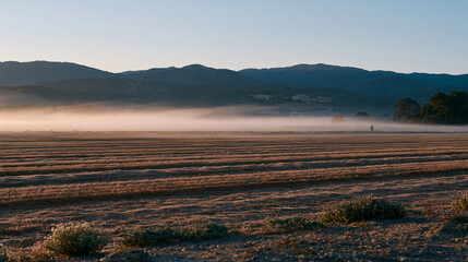 early morning mist over an agricultural field on the first day of autumn equinox with a lone farmworker silhouette visible at the field edge ideal for seasonal harvest editorial