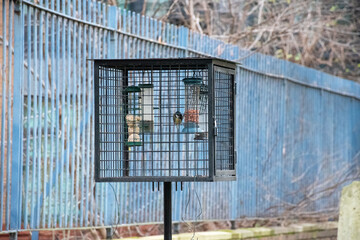 A bird feeder designed to protect food from squirrels, featuring a coal tit inside enjoying the seeds. © Svetlana
