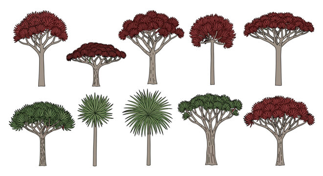 Collection of Various Tree Types.