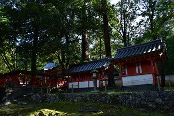 Obraz premium 奈良県 奈良市の東大寺