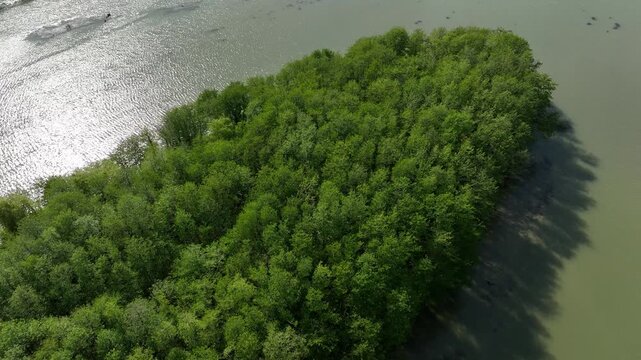Aerial view of densely forested green island inside the river delta at Anaklia resort in Georgia