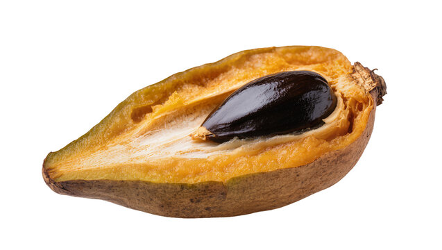 Isolated ripe sapodilla fruit half with a single seed, tropical sweet chiku pouteria sapota