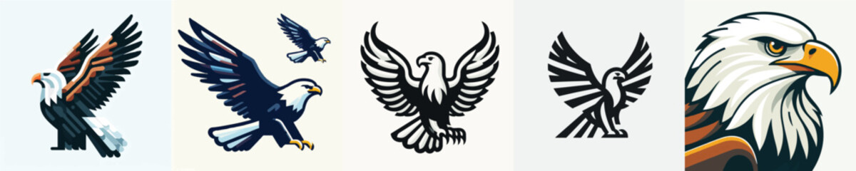 Fototapeta premium Eagle Vector Illustration