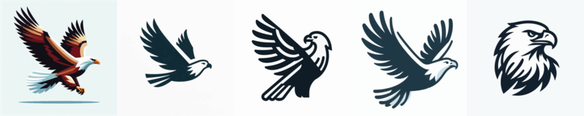 Fototapeta premium Eagle Vector Illustration