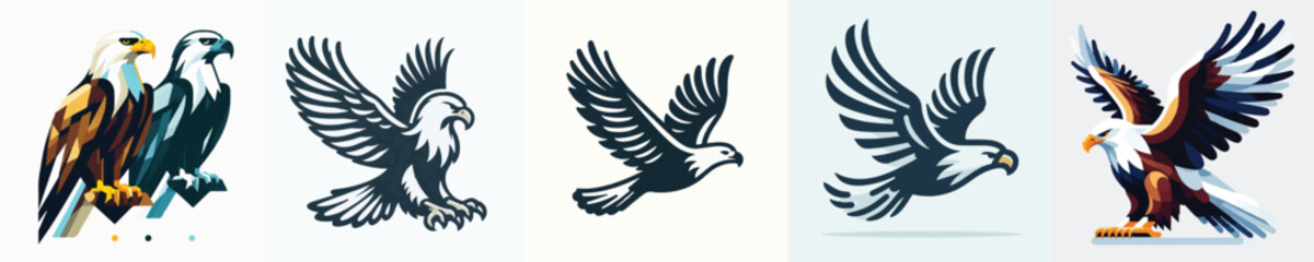 Fototapeta premium Eagle Vector Illustration
