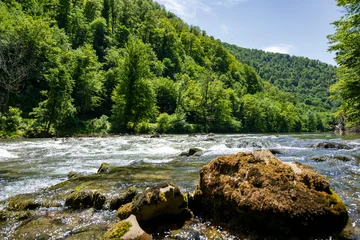 Fotobehang Bos rivier Low angle view of the Kolpa Kupa River flowing over mossy rocks through a lush green forest valley, showcasing ecotourism and pristine wilderness  © JairoMZ
