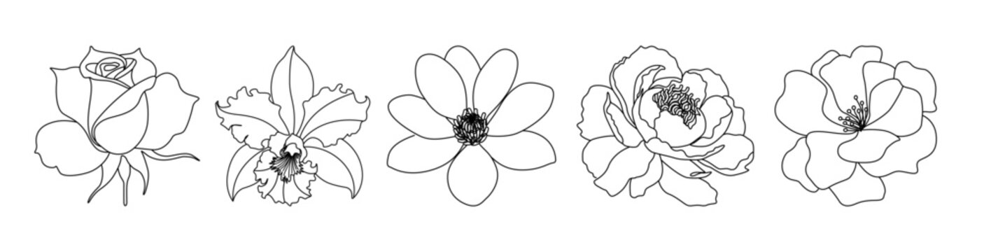 One Line Illustration &ndash; Minimal Floral Flowers	