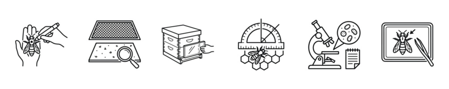 Illustrative icons depicting various beekeeping processes and techniques