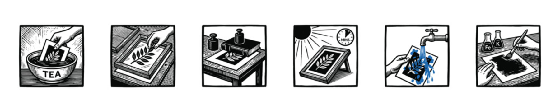 Step-by-step guide to creating a cyanotype print with natural elements