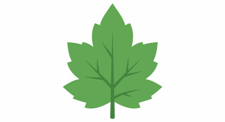 Fototapeta premium A simple, stylized green leaf with visible veins against a white background