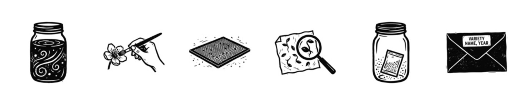 Collection of icons depicting plant breeding and seed saving processes