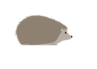 hedgehog © kartika