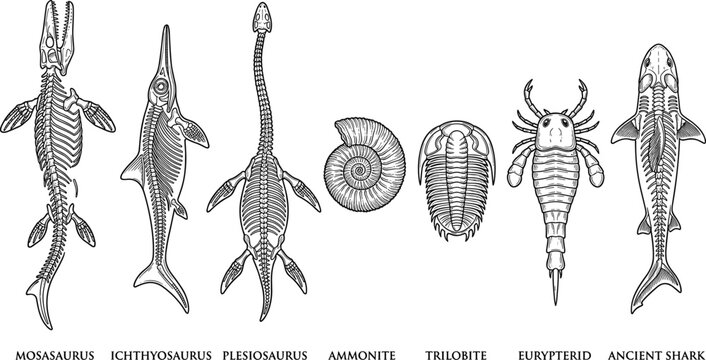 Prehistoric Marine Life Fossil and Skeleton Icon Set with Mosasaurus, Plesiosaurus, Ammonite, Trilobite, and Ancient Shark Linocut Engraving Vector Graphics