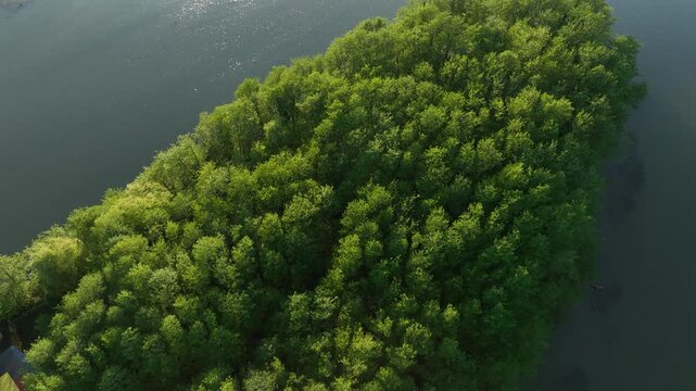 Aerial view of densely forested green island inside the river delta at Anaklia resort in Georgia