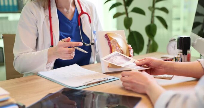 Doctor shows human breast model and ultrasound images to patient in clinic. Female gynecologist shares tests results with woman at appointment