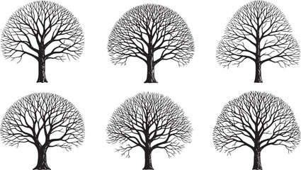 Obraz premium Set of hand drawn deciduous trees with bare branches in black ink isolated on white background vector