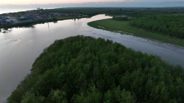 Aerial view of densely forested green island inside the river delta at Anaklia resort in Georgia