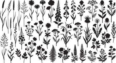 Fototapeta premium Wildflower and grass silhouettes collection featuring various botanical elements for nature themed graphic design vector illustration set