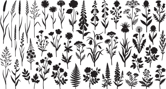 Wildflower and grass silhouettes collection featuring various botanical elements for nature themed graphic design vector illustration set