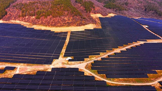 Overhead view of solar panel array on forested hillside, Bulgaria. Drone perspective filling frame with dark blue modules, sandy access paths and red autumn woodland.