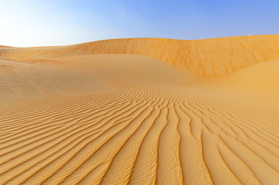 Abu Dhabi, desert &ndash; dune ridge in the Liwa Desert, which is part of the Rub al Khali Desert or Empty Quarter desert, straddling UAE, Oman, Yemen and Saudi Arabia