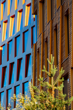 Colorful vertical facades rise behind a green tree in an urban building scene, where windows, architecture, geometry, contrast, and exterior light meet