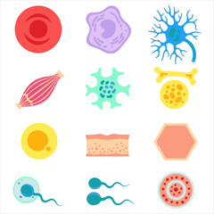 Fototapeta premium Human cell and microscopic biological structure set featuring blood cells neurons and reproductive cells for scientific research and educational biology content