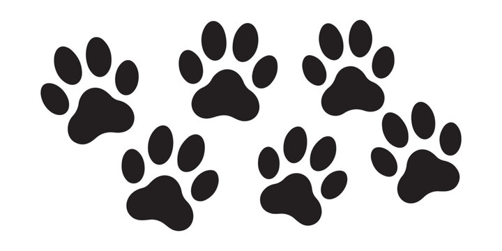Collection of black animal paw prints with sharp claws isolated on transparent background design.