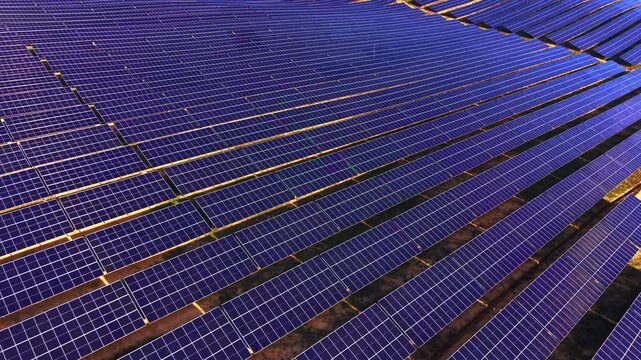 Aerial pattern of blue solar modules across open field, Bulgaria. Overhead drone view of uniform panel rows in vivid blue with golden support frames and green grass strips.