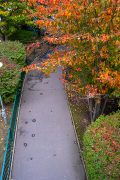 Autumn foliage bends over a narrow urban walkway, turning the path, garden, railing, and landscape color into a quiet public exterior
