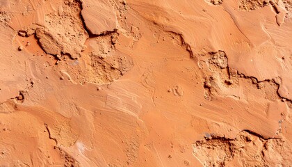 Fototapeta premium The cracked surface of the dry and rugged terrain landscape scene