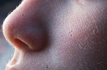 Naklejka premium Extreme Macro Close-up of Human Skin Texture with Visible Pores and Fine Hairs on Nose and Cheek