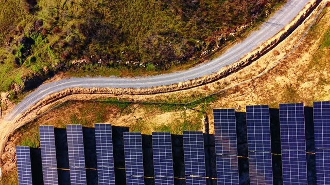 Solar panel modules on green grass from directly above. Straight down drone shot of individual dark blue photovoltaic panels separated by vivid green turf and orange soil paths.