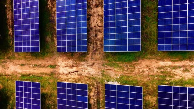 Overhead view of solar panels in rows, Bulgaria. Top-down drone perspective of blue photovoltaic modules separated by dirt paths and green grass.