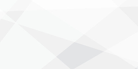 Obraz premium Geometric abstract background with white and gray shapes and lines for modern design and technology concepts