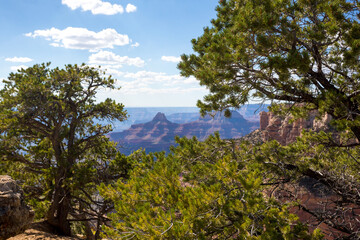 Fototapeta premium View from the North Rim of the Grand Canyon, Arizona