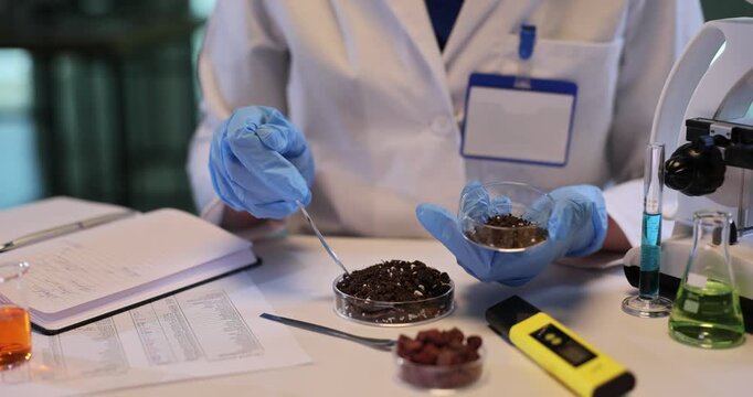 Female assistant places soil sample into Petri dish in chemical lab. Technician studies toxins level in field ground with equipment in workplace